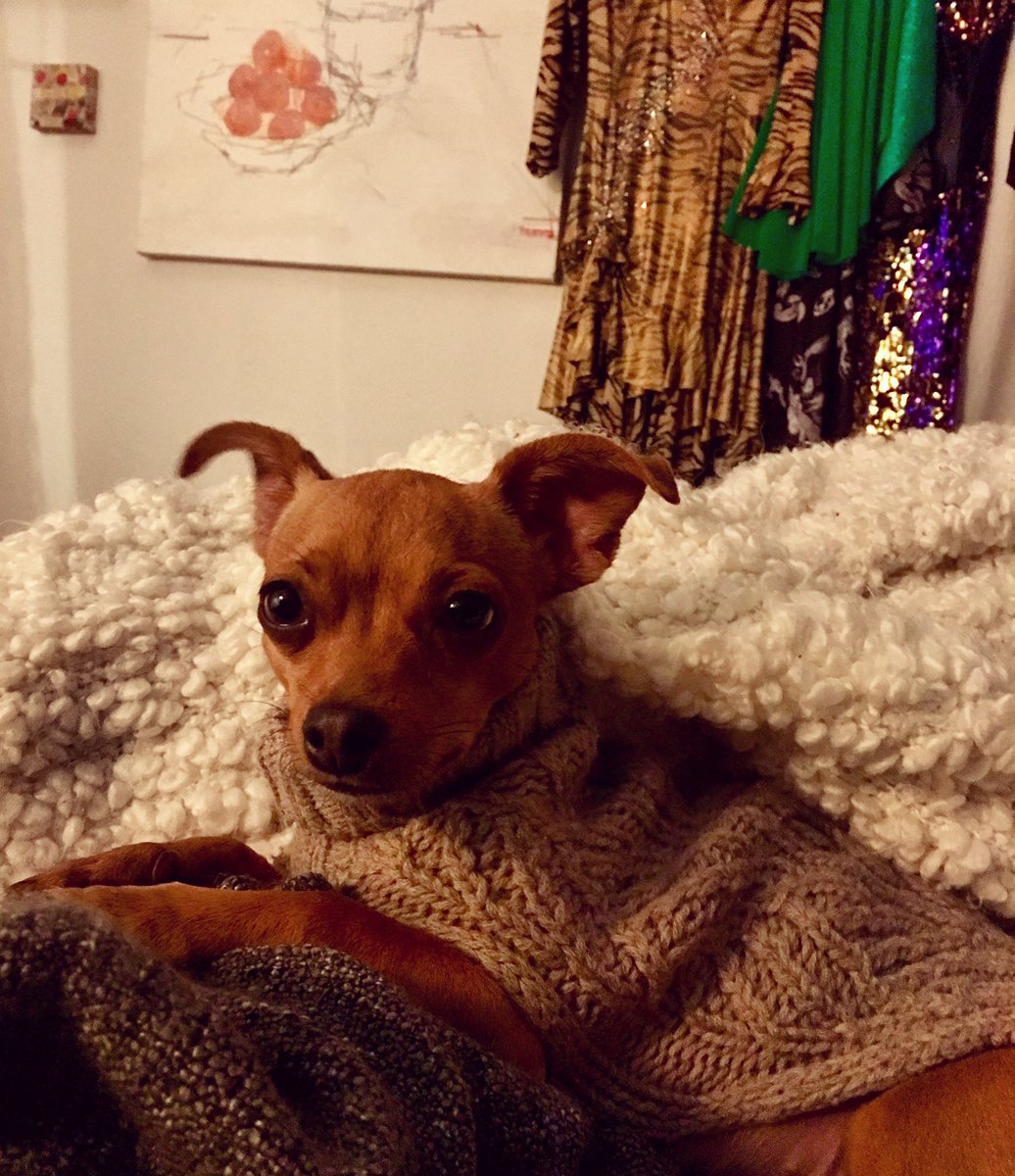 HeddaLettucenyc's tweet image. It is bed time in the Lettuce household. To all my trans family, may you get a restful sleep. Don’t let the boogey man keep you awake at night. We need our rest to fight.  Lupe and I wish you love and support. #lupe #transfamily #transgender #love #sleep #rest #wegotthis