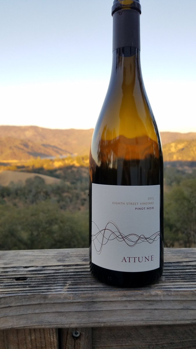 Enjoying my 8th street Pinot with a view. ♡! Delicious!! Thank you <a href="/Povlak/">David Povlak</a>. What a fabulous wine! <a href="/AttuneWines/">Attune Wines</a>. #pinotnoir #NapaValley #sonoma #sonomawinecountry #sonomawine #wine #delicious