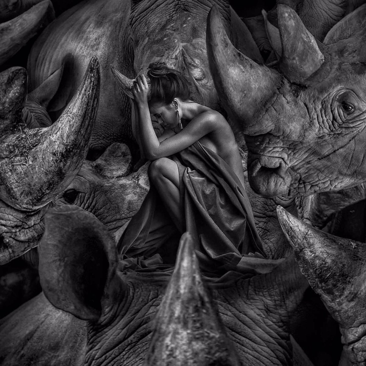 Nkombe_Rhino's tweet image. By @marcel_van_luit 🦏
Forgiveness does not change the past, but it does enlarge the future. #savetherhinos 🦏
