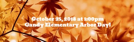White Hall Schools tweet media