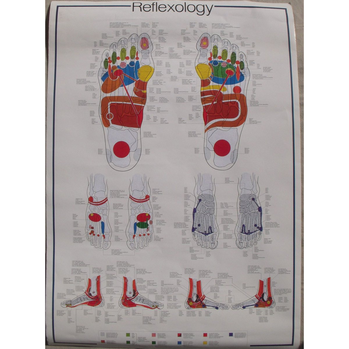 Reflexology Wall Chart Posters