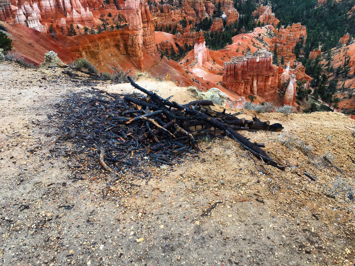 BryceCanyonNPS's tweet photo. Two things went out last night: the last shuttle bus for 2018, and this fire whose burn scar was found along the Rim Trail this morning. Shuttles resume next Spring. But we hope fires like this never do. Please respect your park by keeping fires in designated areas. https://t.co/x6wOVlRS78