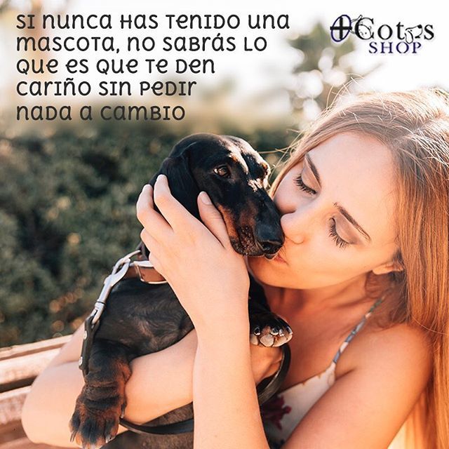 ¡El amor incondicional existe, sino pregúntaselo a ellos!
.
#MascotasFelices #Mascotas #Alimento #Medicamentos #Accesorios #PeluqueriaCanina #NautilusJardinGourmet #SambilValencia #Perros #Gatos #Valencia ift.tt/2EDenrv