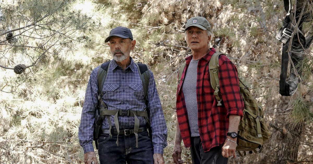 Ncis On Twitter Murder Spooky Mysteries And A Cabin In The