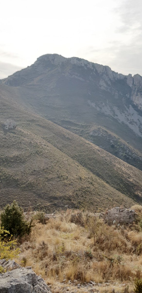 TrailNutrium's tweet photo. Estos días estamos trabajando a tope en el diseño del trazado.
Un recorrido con desnivel pero muy corrible.
⛰⛰⛰
#trailnutrium #nutrium #nutriumpfg #nutriciondeportiva #trail #trailrunning #outdoor #trailrun #lovemountains #nutriumlifestyle https://t.co/BWs30fiWl6
