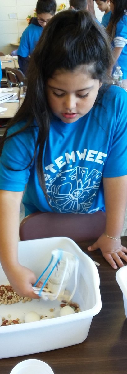 MsBray214's tweet image. Check out these engineers creating and testing out their bycatch eliminators! #MassSTEMweek #i2 #WhitcombStemWeek #fifthgrade #engineering #design #STEM