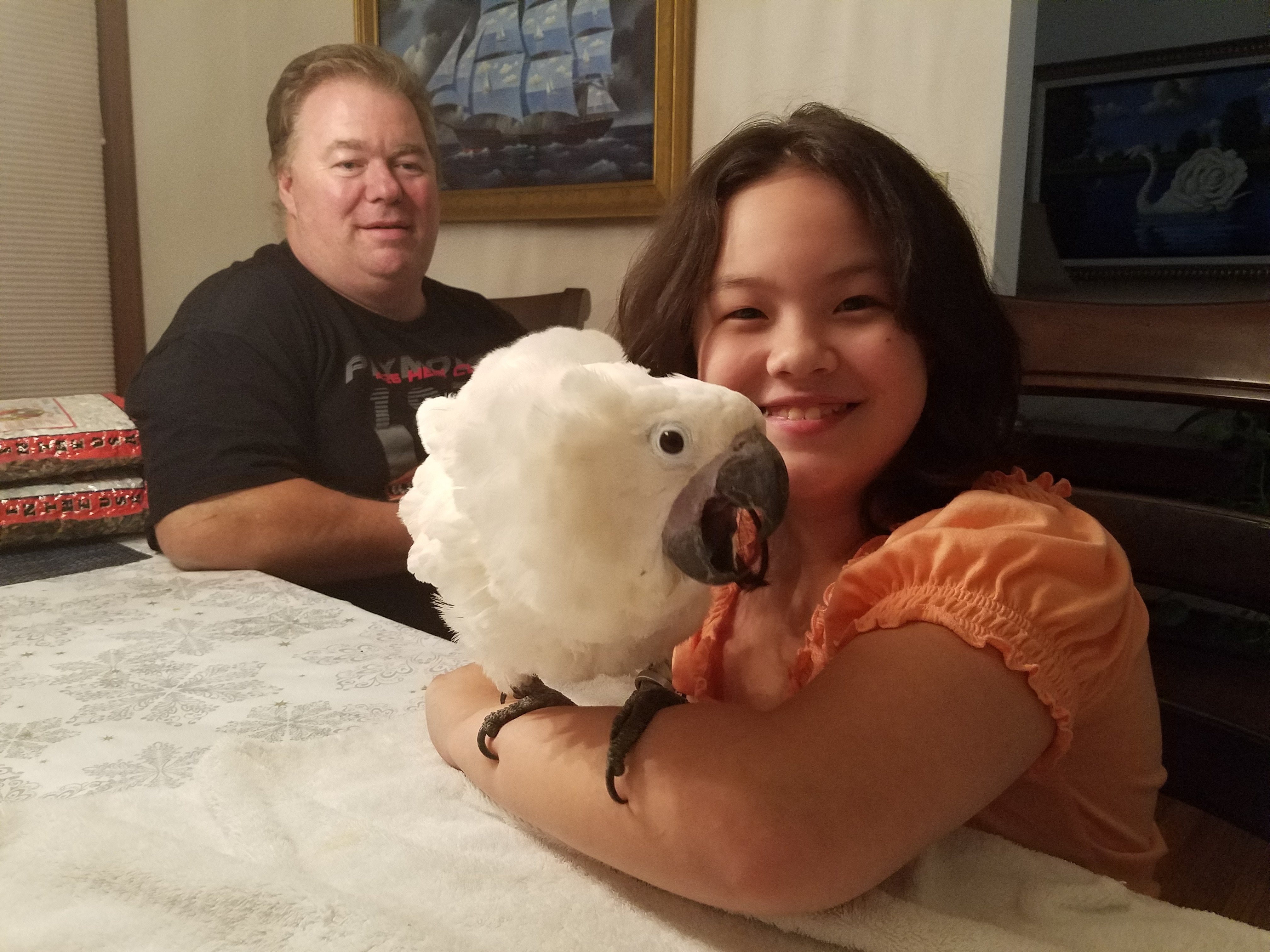 Ana's parrots top and supplies