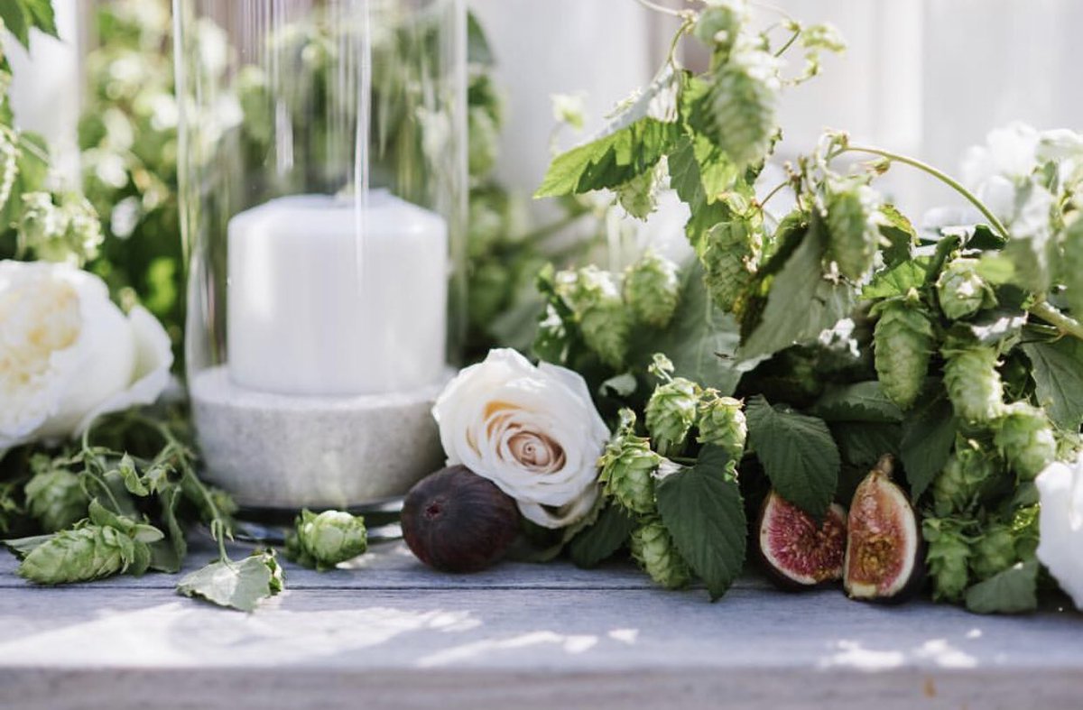 SoireeParkCity's tweet image. Low lush and perfectly dreamy runners. 💕
@heathernanphoto @artisanbloom @StRegisDV  #weddingplanner