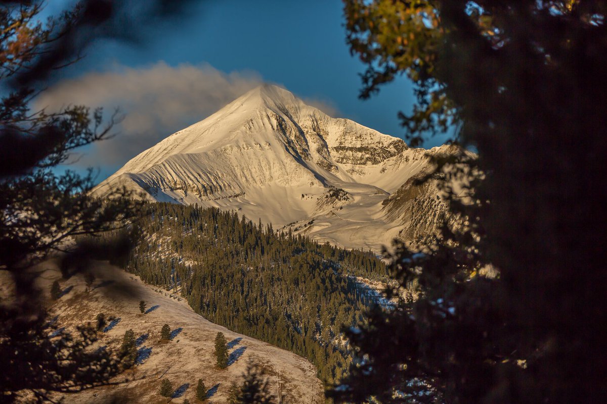bigskySIR's tweet photo. Lot 8 Lost Trails - 20 stunning acres of land just minutes from both Big Sky Resort and Town Center. Enjoy the serene XC ski trails that wind through the neighborhood connecting to dozens of miles of trails, or take in the widespread mountain views and wildlife viewing! #livebig https://t.co/pC4lnUma9W