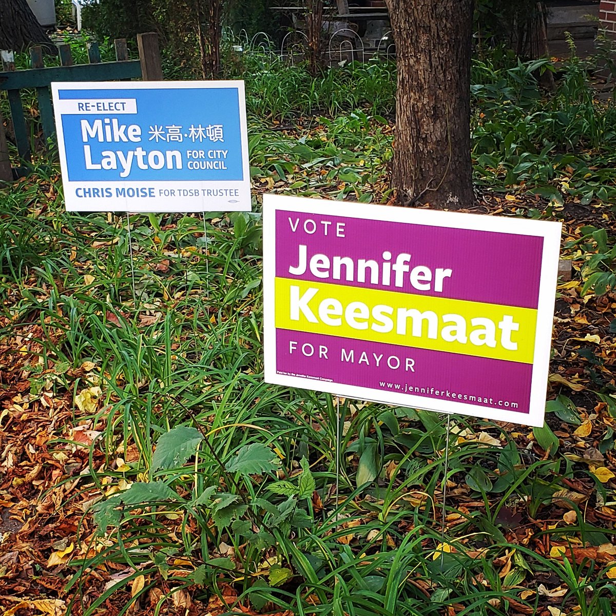 HeyItsKelvin's tweet image. Just made the easiest voting decisions of my life for @jen_keesmaat, @m_layton, and @ChrisMoiseTO. Bring it home! #Keesmaat4Mayor #TOVotes18 #TOVotes #TorontoElections #TOpoli #MunicipalElections2018 #WhyAreThereSoManyHashtags #Ward11 #UniversityRosedale