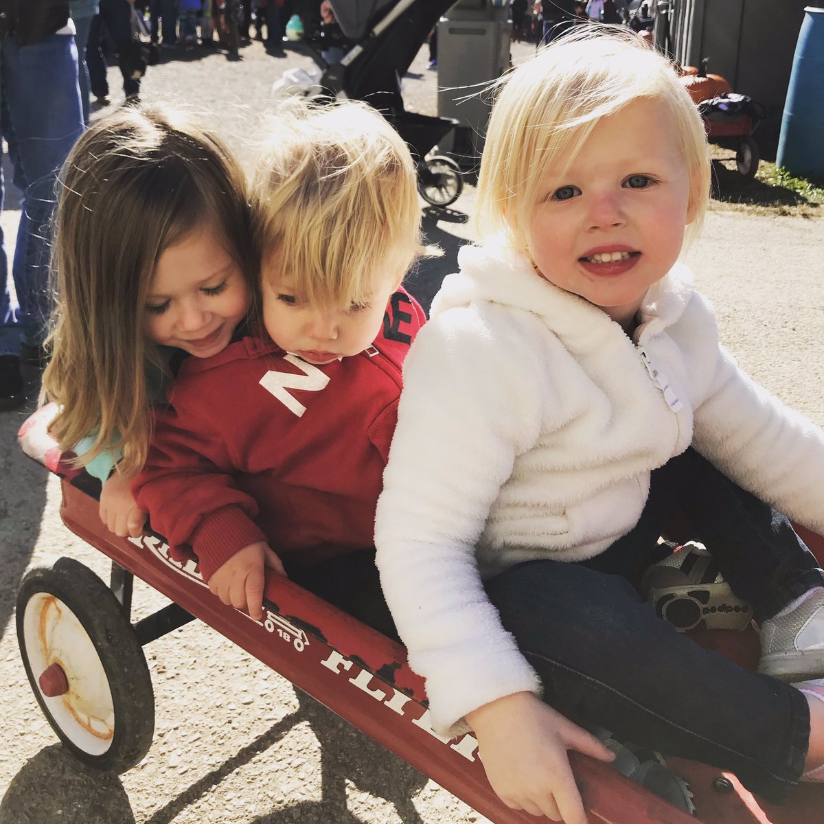 toddsarvies's tweet image. Latergram from the Pumpkin Patch.  🎃 

#pumpkinpatch #redwagon #radioflyer