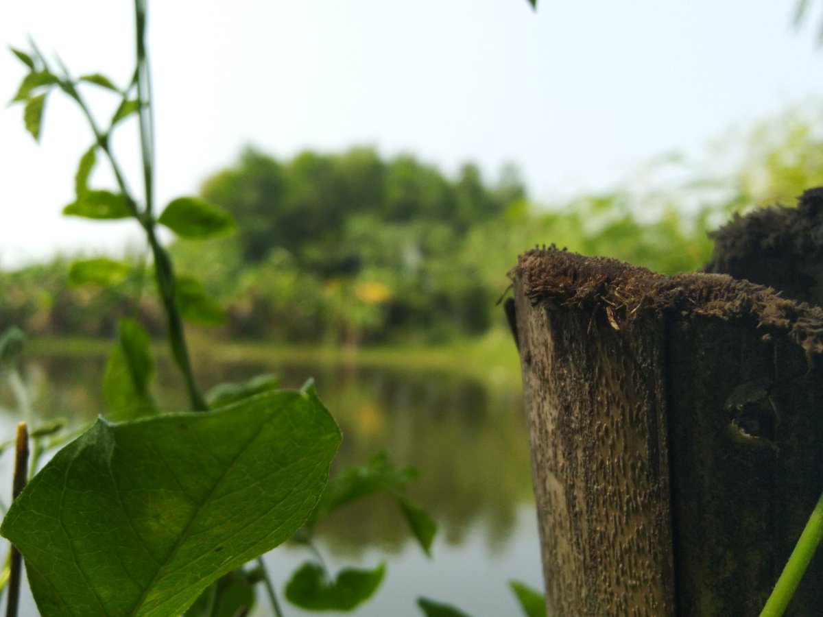 Sailok4's tweet image. Beauty of village