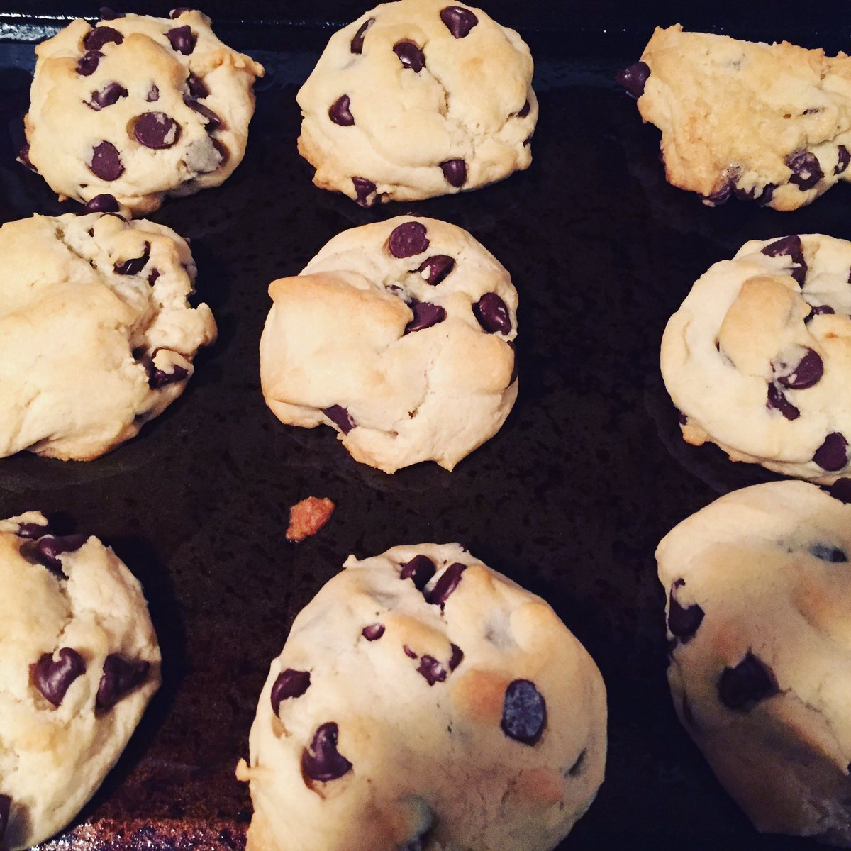 🍪🍪🍪Whoops🍪🍪🍪

I slipped in the kitchen and chocolate chip cookies happened 🤤

#veganchocolatechipcookies  #zucchiniblossomvegan #novascotiavegan