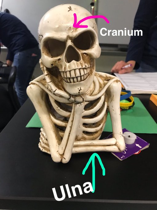 @StaffordBiology https://t.co/YRHtoQFfLy<a class="tags" target="_blank" title="On Twitter" href="/?out=eyJ0eXAiOiJKV1QiLCJhbGciOiJIUzUxMiJ9.eyJpYXQiOjE3MjU2MDg2NTIsImlzcyI6InR3cG9ybnN0YXJzLmNvbSIsIm5iZiI6MTcyNTYwODY1MiwiZXhwIjoxNzU3MTQ0NjUyLCJyZWRpcmVjdF91cmwiOiJodHRwczovL3R3aXR0ZXIuY29tL1N0YWZmb3JkQmlvbG9neSJ9.vakJ62k1t_42_nt8UEu7xf3O4MQdShVFJ3De-wfZrt15XSeA-TZuCvIUc7Jx2SETon5sLHmCMtdj3aNJWRv5hg">@StaffordBiology</a><a href="/tag/newprofilepic"class="tags"><span>#newprofilepic</span></a>