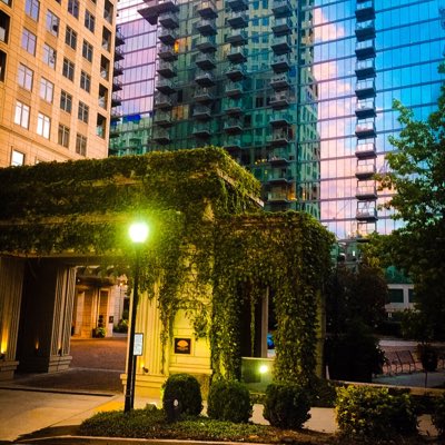 ElevatedVideo's tweet image. #NewProfilePic