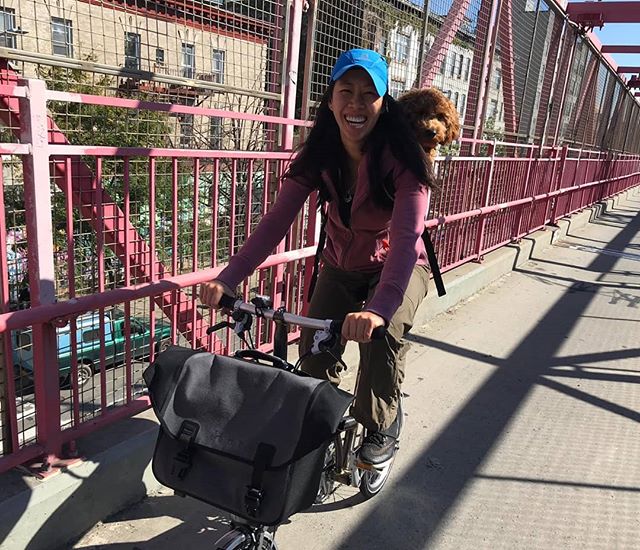 RedBeardBikes's tweet photo. Steph, Ian, and their pup, Carlo, zip across the Williamsburg Bridge on their Bromptons! 🚲♥️ 🐕 Wanna try a Brompton?! Swing by #RedbeardBikes this Thursday, 10/25 (4-7pm), to borrow a Brompton for a day! Tell your friends! #bromptonnyc #bikenyc 📷: @redbeardbikes https://t.co/J1phYOpOAr