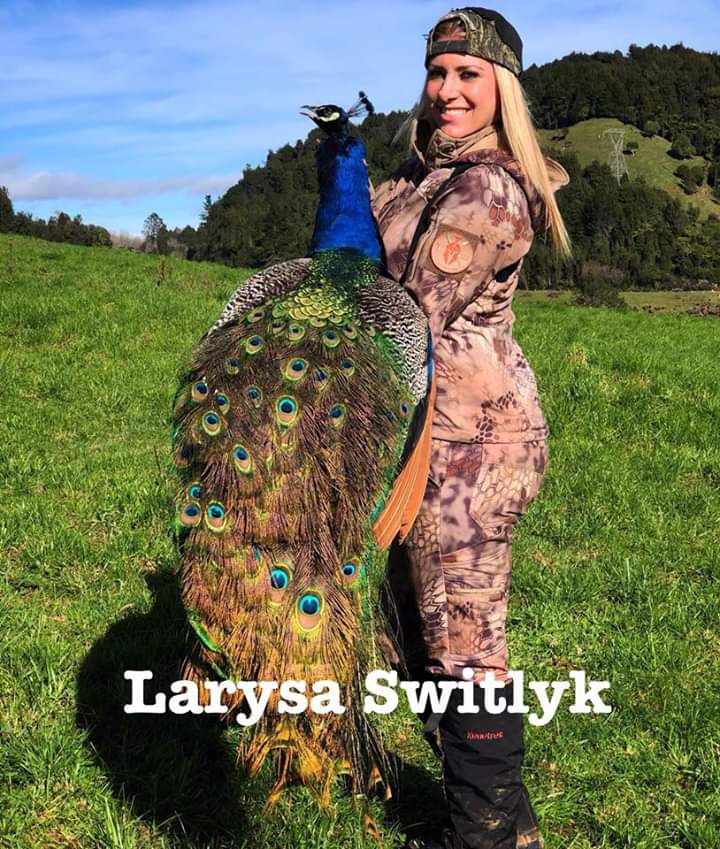 dustbusterz's tweet image. This killer makes a living from selling, hunting leggings, one style called peacock, has a TV show that shows her killing.She kills around the world, and this peacock was one of her victims in NZ.Sid😒

#BanTrophyHunting 
#ExposeTrophyHunting 
Twitter @XposeTrophyHunt