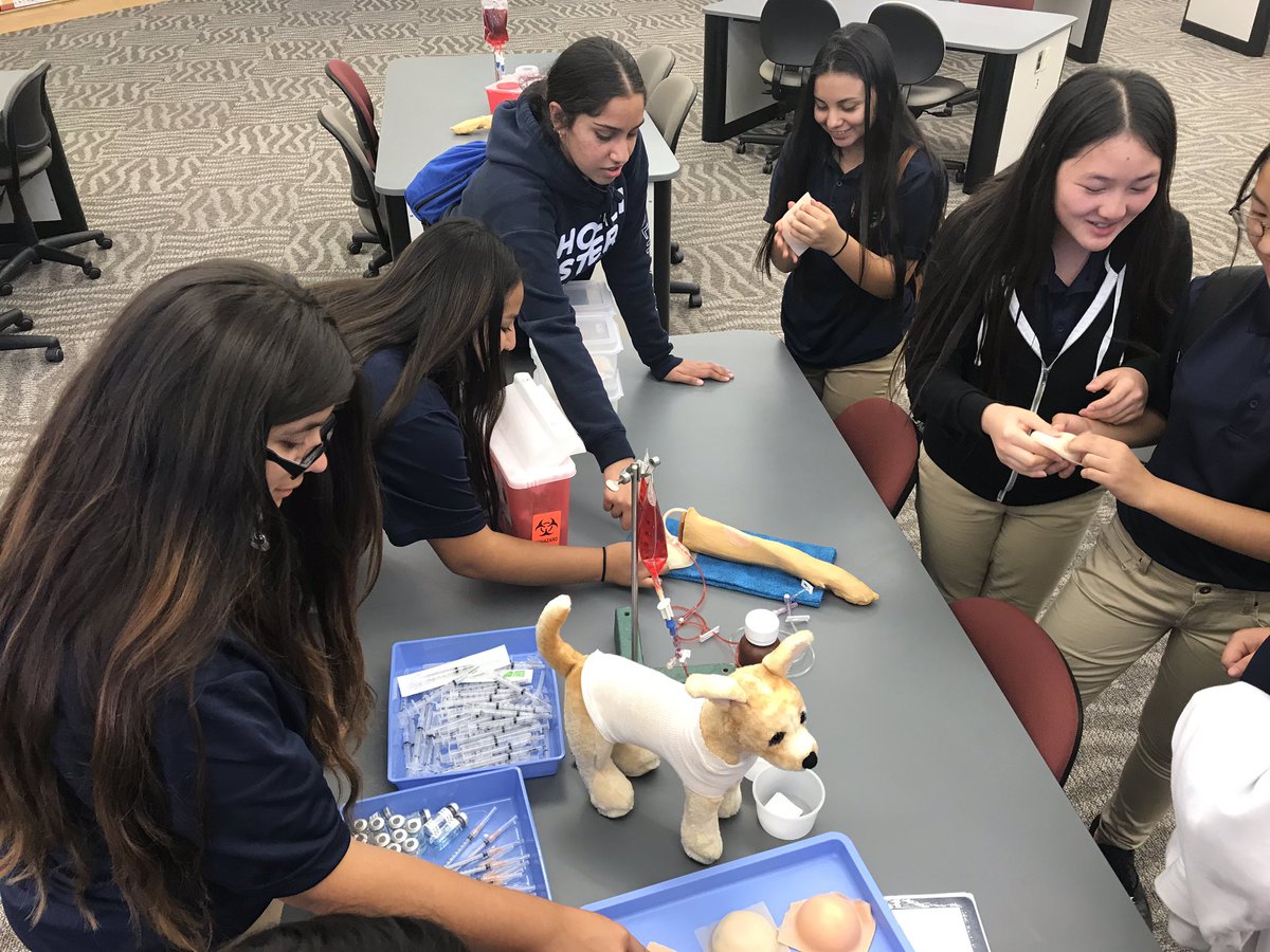 <a href="/SunnysideDA/">SunnysideDoctorsAcademy</a> sophomore students receiving a tour of the <a href="/ucdavisvetmed/">UC Davis Weill School of Veterinary Medicine</a> facilities. What an amazing opportunity!