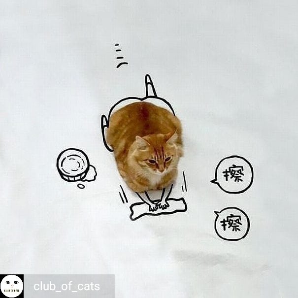 ulat_bulu_bulu tweet picture