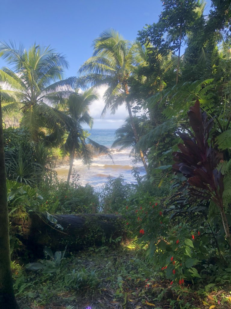 #hawaiiTropicalBotanicalGarden #lethawaiihappen #Hawaii beautiful! Green! Gorgeous! 🌴🌳🌱🍀☘️🌿🍃💐🌹🥀🌺🌷🌞🌻🌼🌼🌸