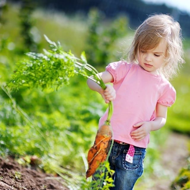 FAO's tweet photo. Introducing children to healthy food at an early age means that they are more likely to make healthier food choices as they grow up.

#ZeroHunger https://t.co/mF3oqN2Dn9