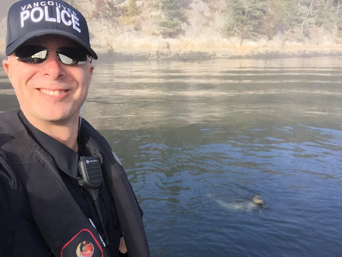 VPDMarineUnit's tweet photo. The VPD Marine Unit was happy to assist the Vancouver Aquarium Marine Mammal Rescue Centre with the release of several rehabilitated seals today @VancouverPD, @vancouveraqua https://t.co/KCJ6WDPXfj