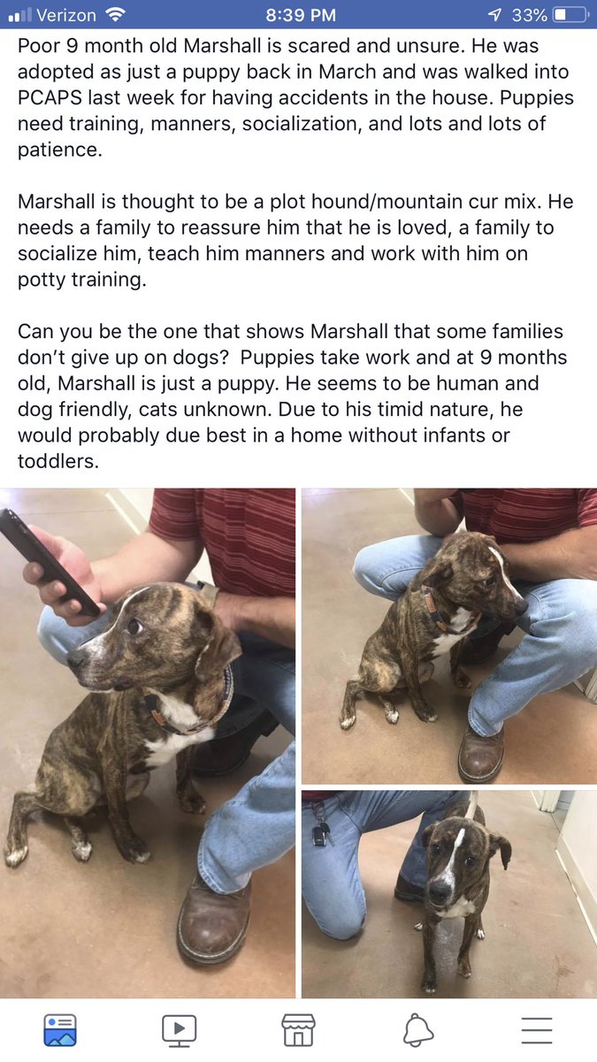 Kelsey On Twitter This Gets My Blood Boiling Taking A Puppy