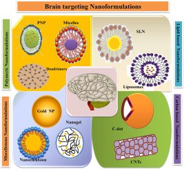 Review article:  
Recent progress of drug nanoformulations targeting to brain.  
[50 days' free access]
authors.elsevier.com/a/1XwqfcI2~mBtP