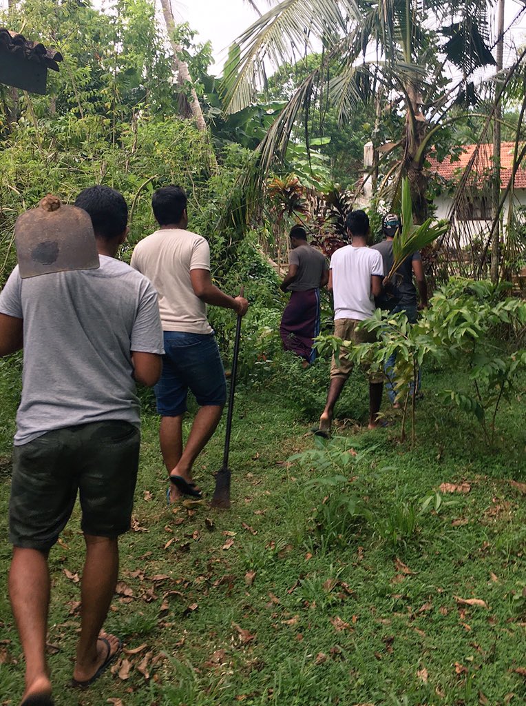 greeningsl's tweet photo. #coconutplantation 
#greeningsrilanka 
Follow us, Tweet us, Support us!!!

And DM us who willing to take leadership in your district or village. Lets connect to make our country more greenish 🌱💚
ලංකාව හරිතවත් කරන්න අපි එකතු වෙමු... https://t.co/CRuVsbDECU