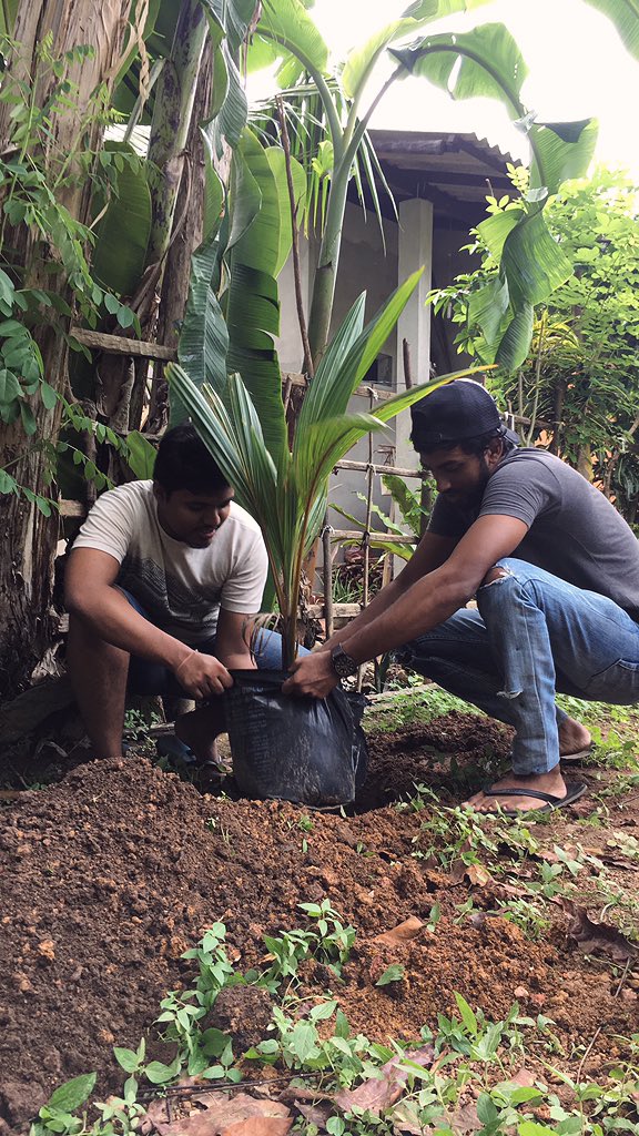 greeningsl's tweet photo. #coconutplantation 
#greeningsrilanka 
Follow us, Tweet us, Support us!!!

And DM us who willing to take leadership in your district or village. Lets connect to make our country more greenish 🌱💚
ලංකාව හරිතවත් කරන්න අපි එකතු වෙමු... https://t.co/CRuVsbDECU