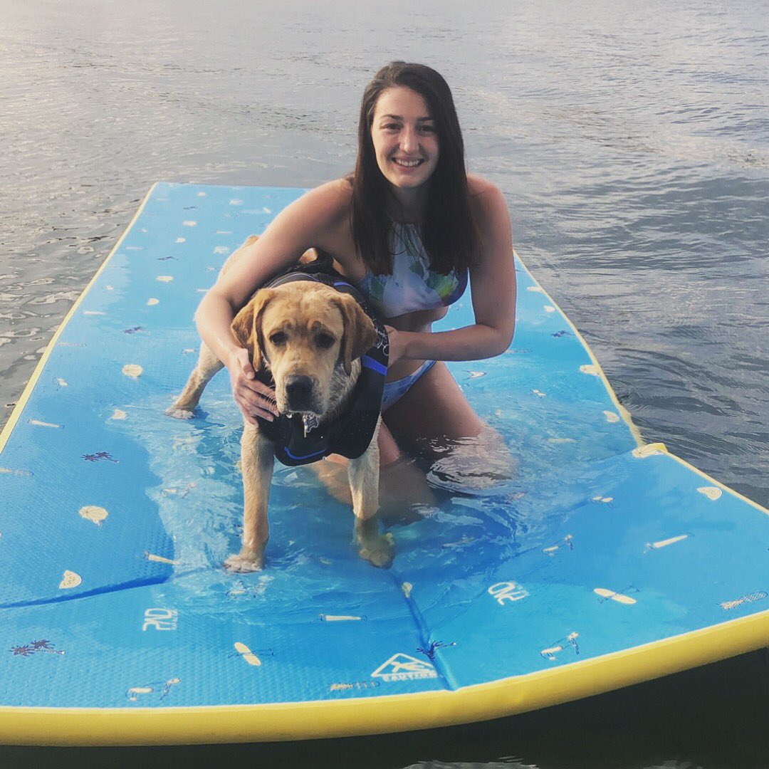 taylorfoxxy's tweet photo. If you’re the praying type or the good vibes type the goodest good boy has been diagnosed with a really rare form of parvovirus and is 50/50 on making it so send some love his and our way❤️ he’s only been in the hospital for a day and I’m already missing him like crazy https://t.co/OkPqkORKp3