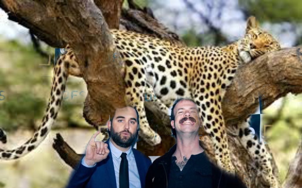 The <a href="/JaguarMorning/">Jaguar Morning Show</a> is back TUES MORNING 10/23 9-11am MT LIVE on <a href="/DenverOpenMedia/">Denver Open Media</a> Xfinity 57 w guest @sammyarechar! @UltraSexLaser <a href="/andyjuett/">Andy Juett</a> are back w FUN and DUMB. Also <a href="/benkronberg/">The Denver Comedy Lounge</a> @sadblackdad plus <a href="/SamsNo3/">Sam's No. 3</a> burritos @MutinyInfoCafe coffee! WATCH ON OUR FACEBOOK LIVE! #denver