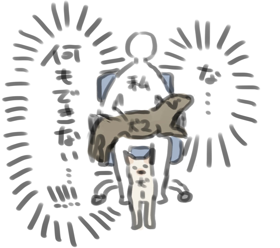 寒くなってくると犬にモテる 