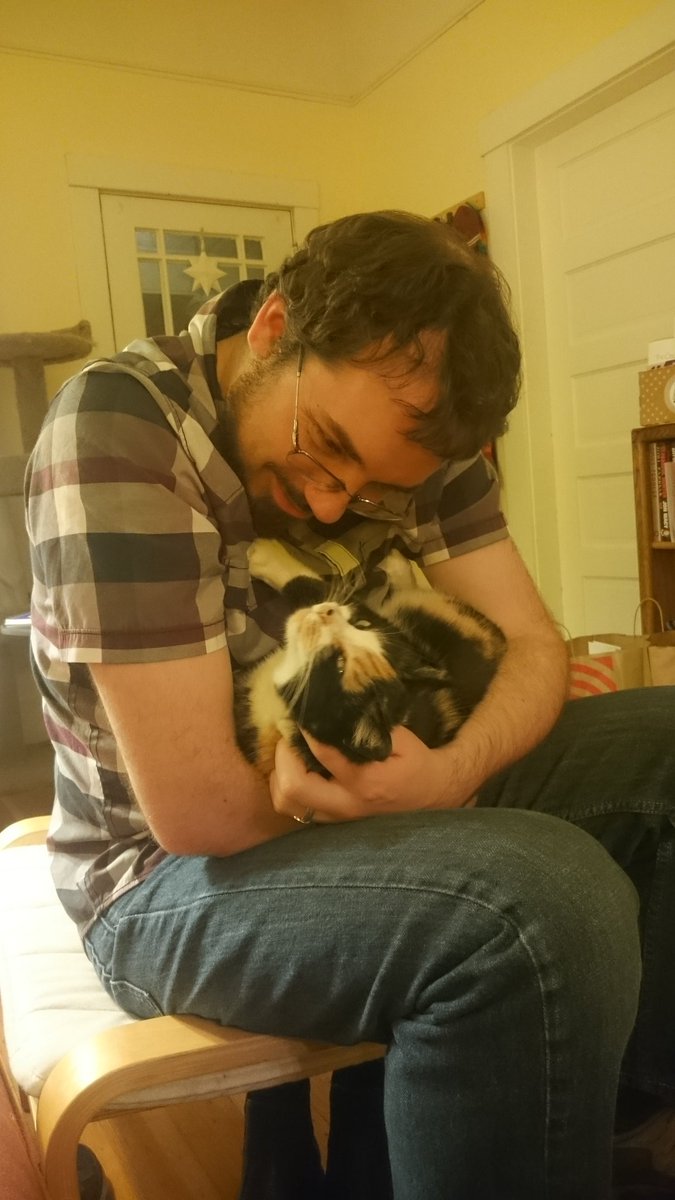 Miss Elisa kitty giving the camera a suspicious side glance as she gets her cheeks skritched.