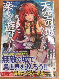 天空の城をもらったので異世界で楽しく遊びたい