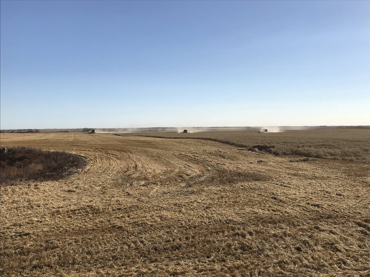 kohlman8's tweet image. #Harvest18 is a wrap glad to be done. By this time next week I will do doing it all over again in Australia. #rumtime #backtothebgrind #Austrailianadventure18