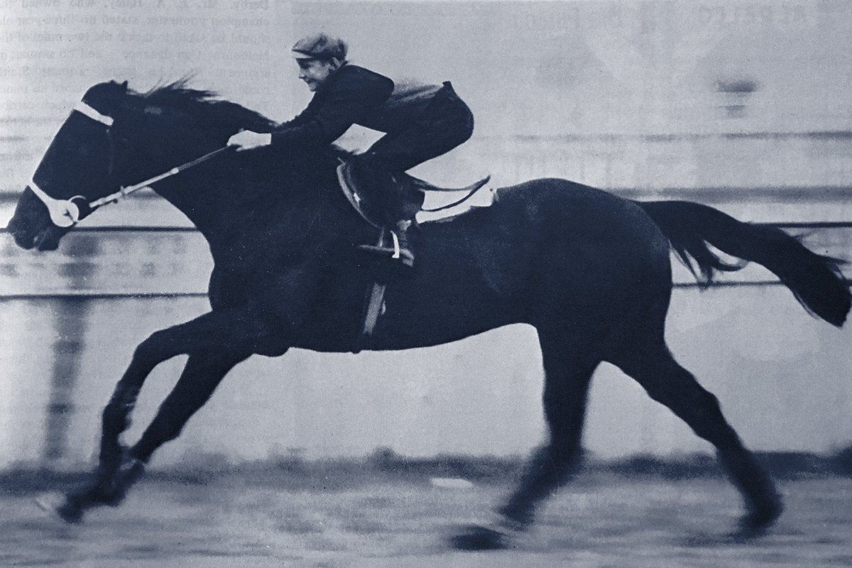 FormFocusHQ's tweet image. Superb shot of NZ bred BEAU VITE, the #CoxPlate winner of 1940 (defeating Ajax) &amp;amp; 1941 (defeating Tranquil Star) when 1/3f. Trained by Frank McGrath, BEAU VITE carried 9.10 (62kg) when third in the 1941 Melb Cup #formfocus