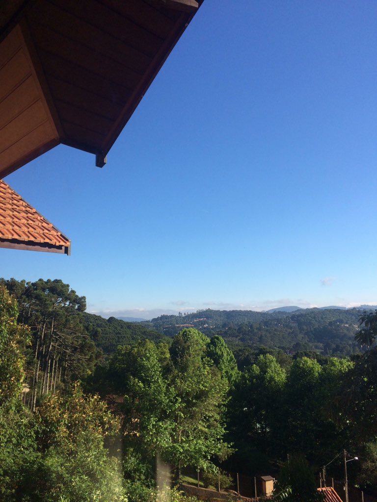 detremura tweet picture