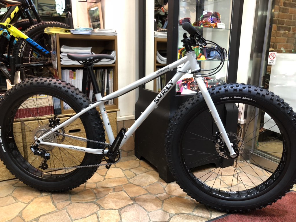 2019 surly wednesday