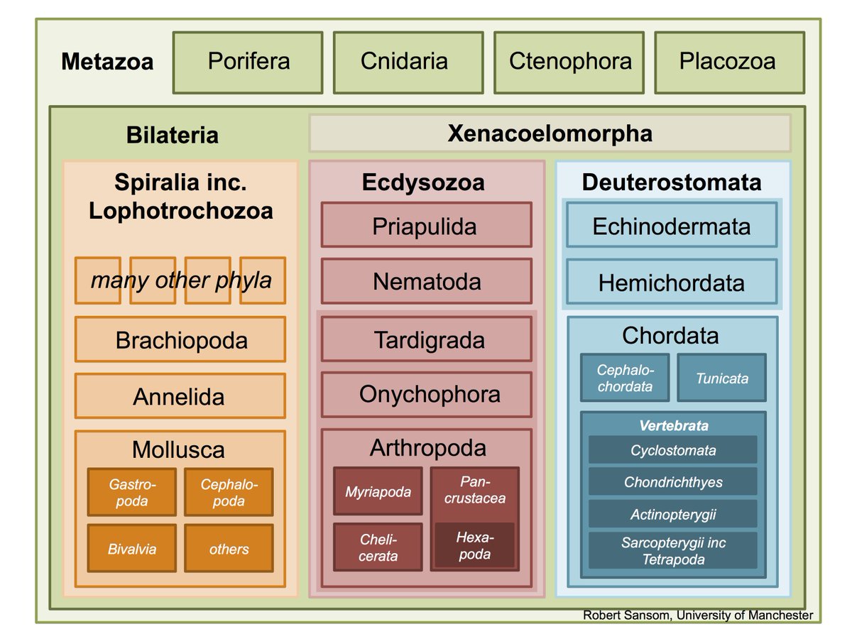 Rob Sansom🐟 tweet media