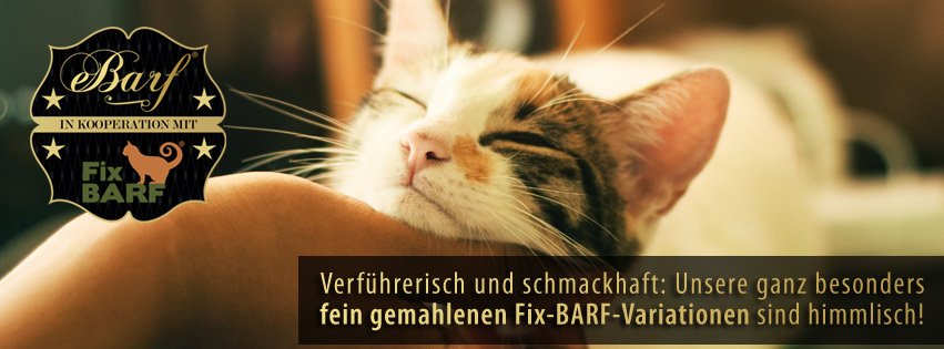 eBarfDE's tweet photo. Verführerisch und schmackhaft: Unsere ganz besonders fein gemahlenen Fix-Barf-Variationen sind himmlisch!
https://t.co/rImbNU9lFC

#Katzen #Fixbarf #Barf #Alleinfuttermittel #Menüs #Katze #Frischfleisch #Rohfleischfütterung #Katzenfütterung #Kitten #eBarf #Katzenliebe https://t.co/J2rALksHE3