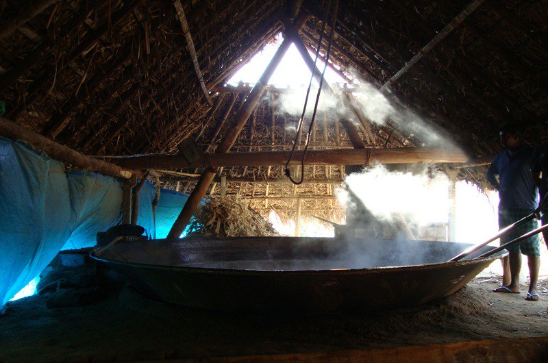 ItsMePriyas07's tweet photo. Jaggery making at Marayoor
#keralatourism #incredbleindia #Kerala #godsowncountry #travel #exploremunnar #munnarisopen #marayoor #welcometomunnar #munnarislive #visitmunnar #musthaveexperiences #comoutandplay #munnar https://t.co/NnWP5NmgRV