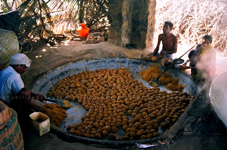 ItsMePriyas07's tweet photo. Jaggery making at Marayoor
#keralatourism #incredbleindia #Kerala #godsowncountry #travel #exploremunnar #munnarisopen #marayoor #welcometomunnar #munnarislive #visitmunnar #musthaveexperiences #comoutandplay #munnar https://t.co/NnWP5NmgRV