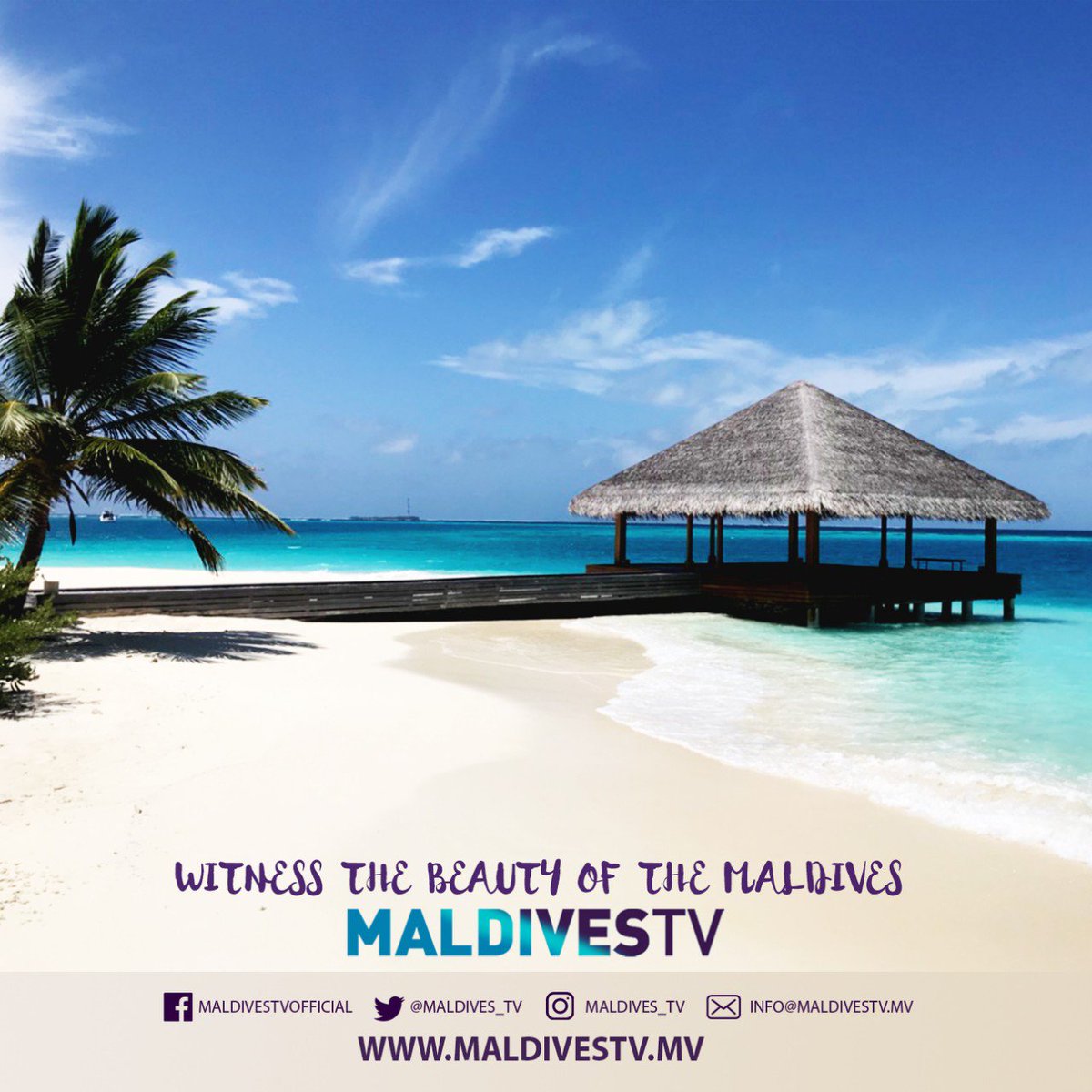 MaldivesTV tweet media