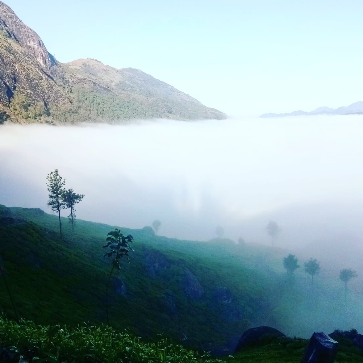PeeyushNC's tweet photo. #Munnar #keralatourism #visitmunnar #munnarislive #munnarresorts #Mountains #Hillstation #Greennature #Godsowncountry #GrasshopperHospitality https://t.co/mKYcMgLPz7