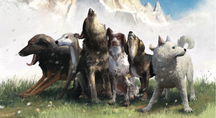 "Patagonio e la Compagnia dei Randagi del Sud": una storia per ragazzi dal puro spirito #alpinistico (ma a quattro zampe!) <a href="/rroseeditore/">rrose sélavy</a> bit.ly/2yqIv48