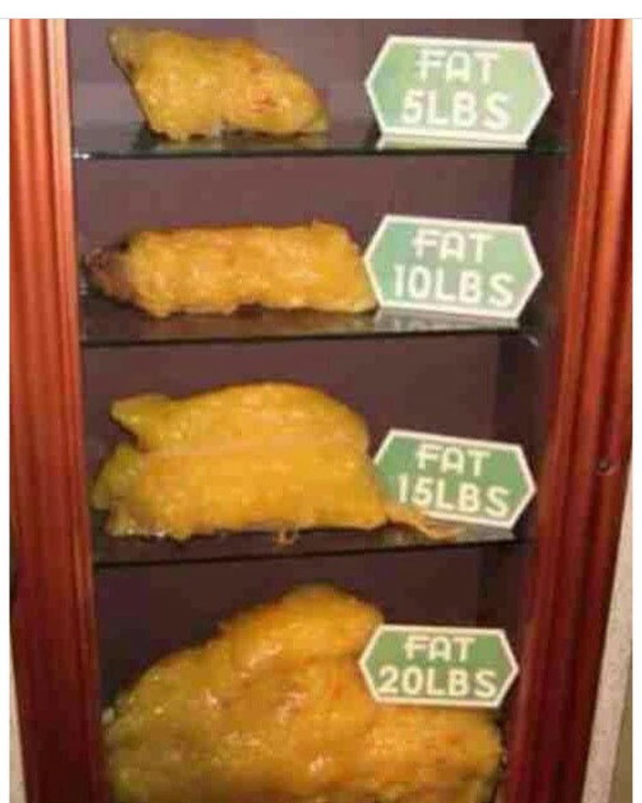 EatingTipsOrg's tweet photo. #fatlossjourney #protein #weightlosstransformation #weightlossmotivation #slimmi… https://t.co/54YxKj1mdg https://t.co/ghupBC3yDM