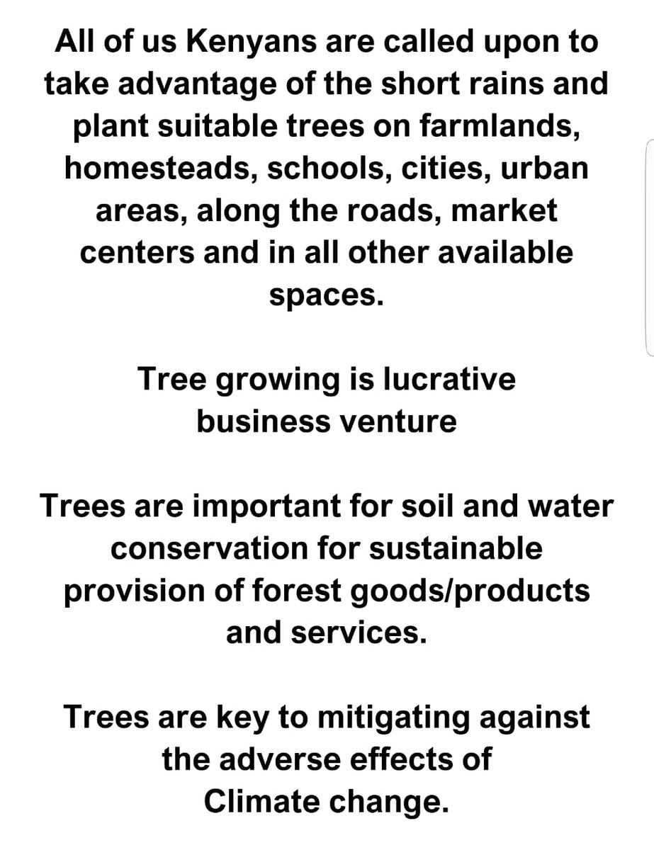 Plant a tree, be part of a better tomorrow🌍👌
#ClimateChange
#ClimateAction