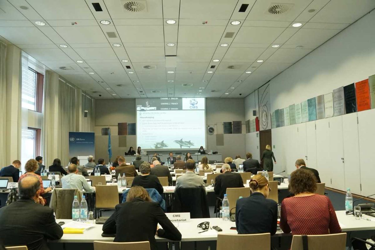 BonnConvention's tweet photo. #Happeningnow  48th Standing Committee Meeting kicks off today #CMS_StC48 Welcome on behalf of @BradneeChambers highlighting #cmscop12 achievements and challenges ahead. https://t.co/lLDcnwBX6v