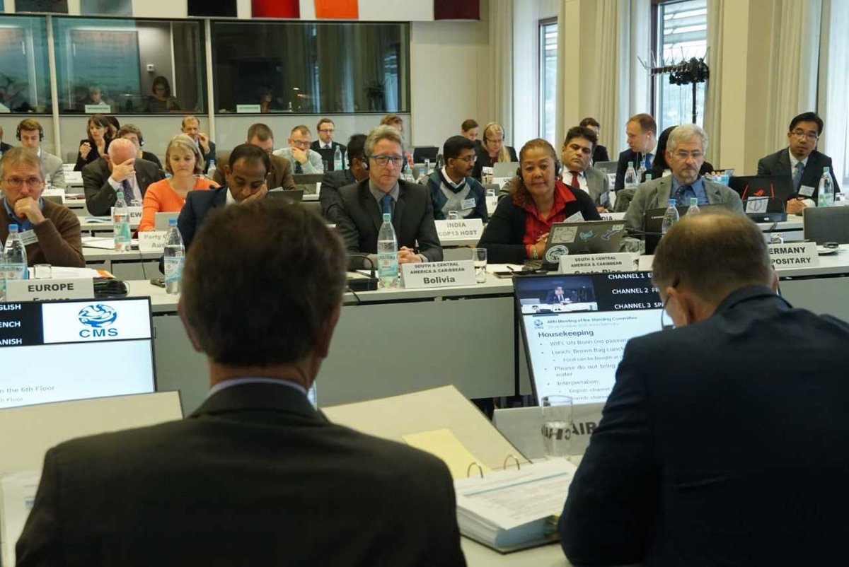 BonnConvention's tweet photo. #Happeningnow  48th Standing Committee Meeting kicks off today #CMS_StC48 Welcome on behalf of @BradneeChambers highlighting #cmscop12 achievements and challenges ahead. https://t.co/lLDcnwBX6v